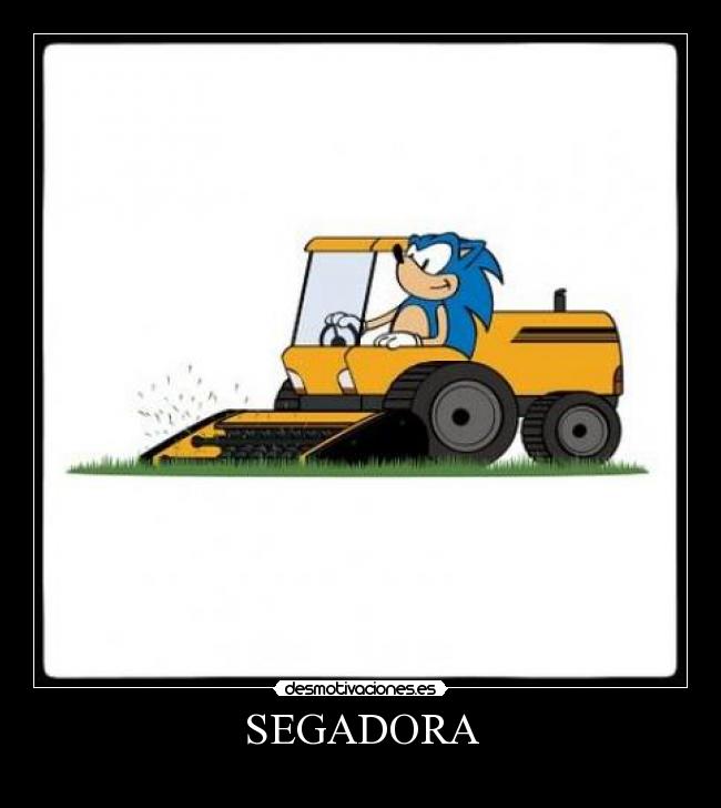 SEGADORA - 