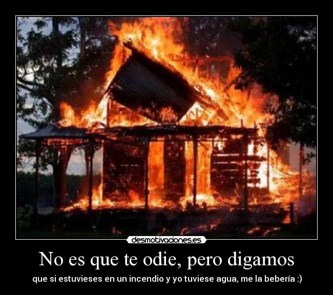 No es que te odie, pero digamos -
