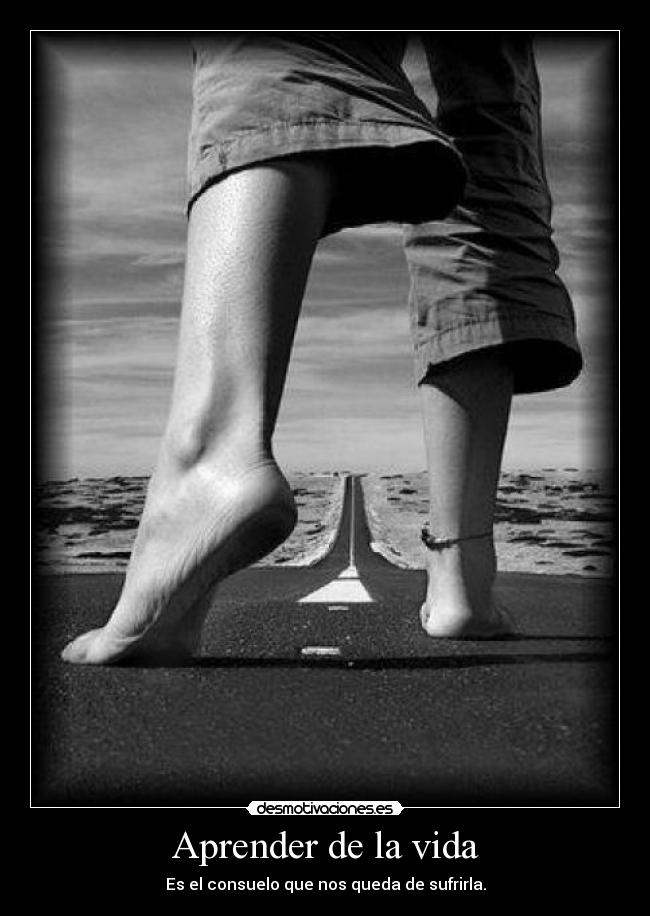 Aprender de la vida -