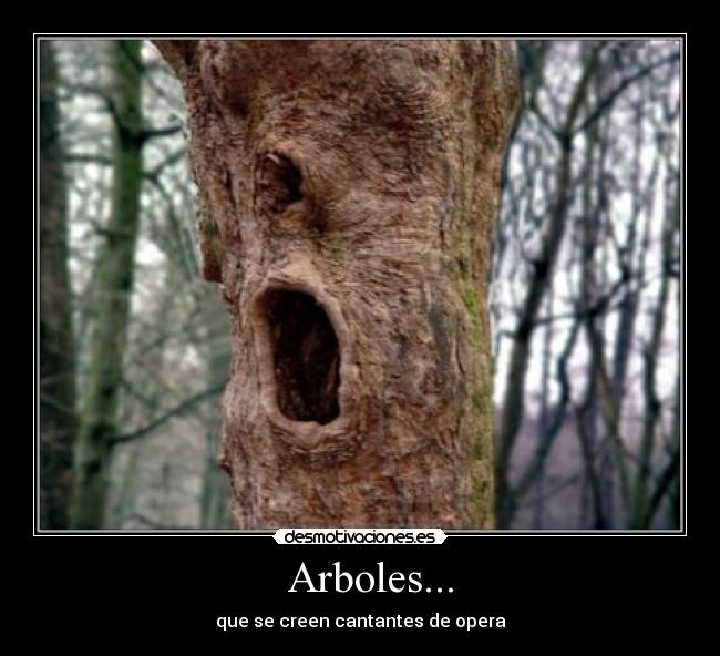 Arboles... -