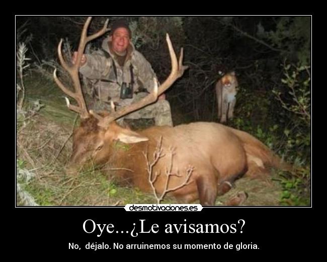 Oye...¿Le avisamos? -