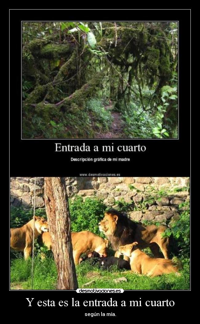 Y esta es la entrada a mi cuarto - 