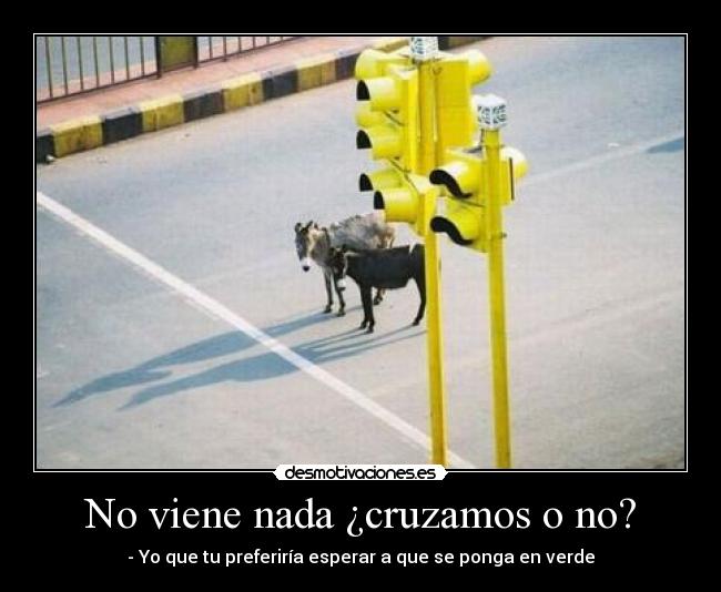 No viene nada ¿cruzamos o no? -