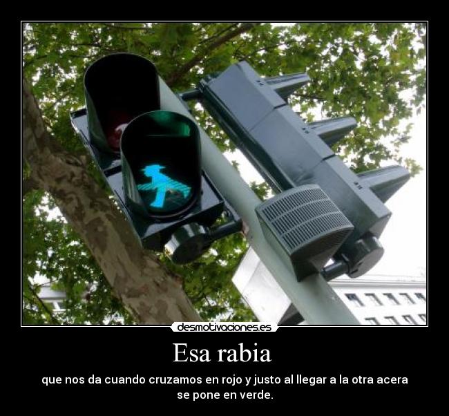 Esa rabia -
