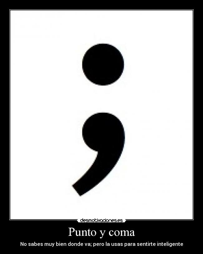 Punto y coma -