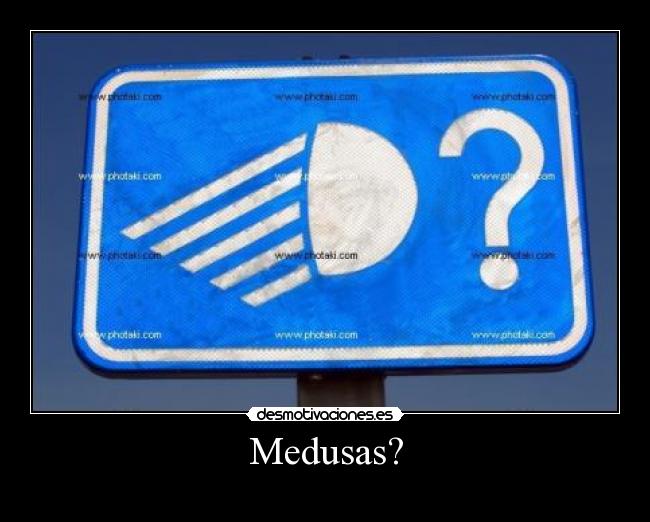 Medusas? - 