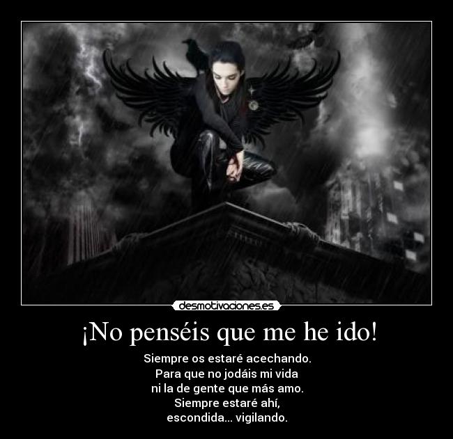 ¡No penséis que me he ido! -