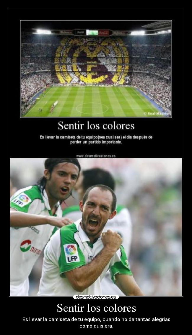 Sentir los colores - 