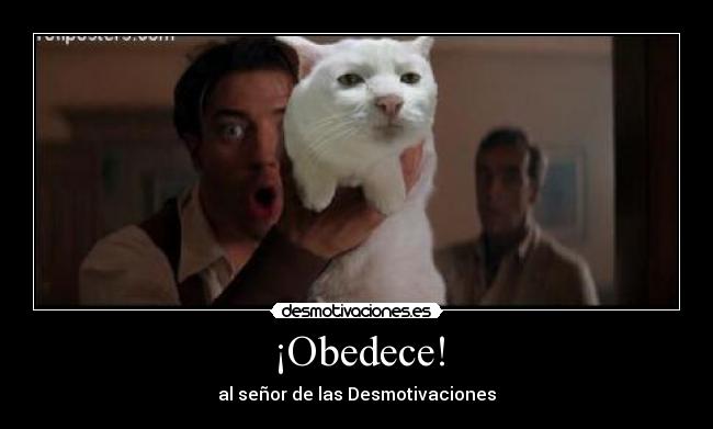 ¡Obedece! - al señor de las Desmotivaciones