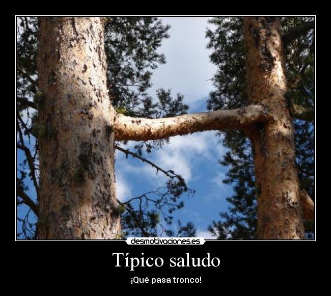 carteles arboles desmotivaciones