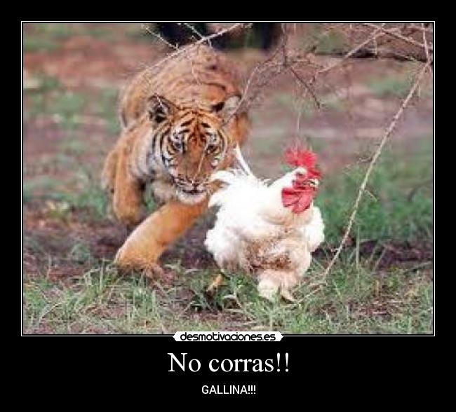 No corras!! -