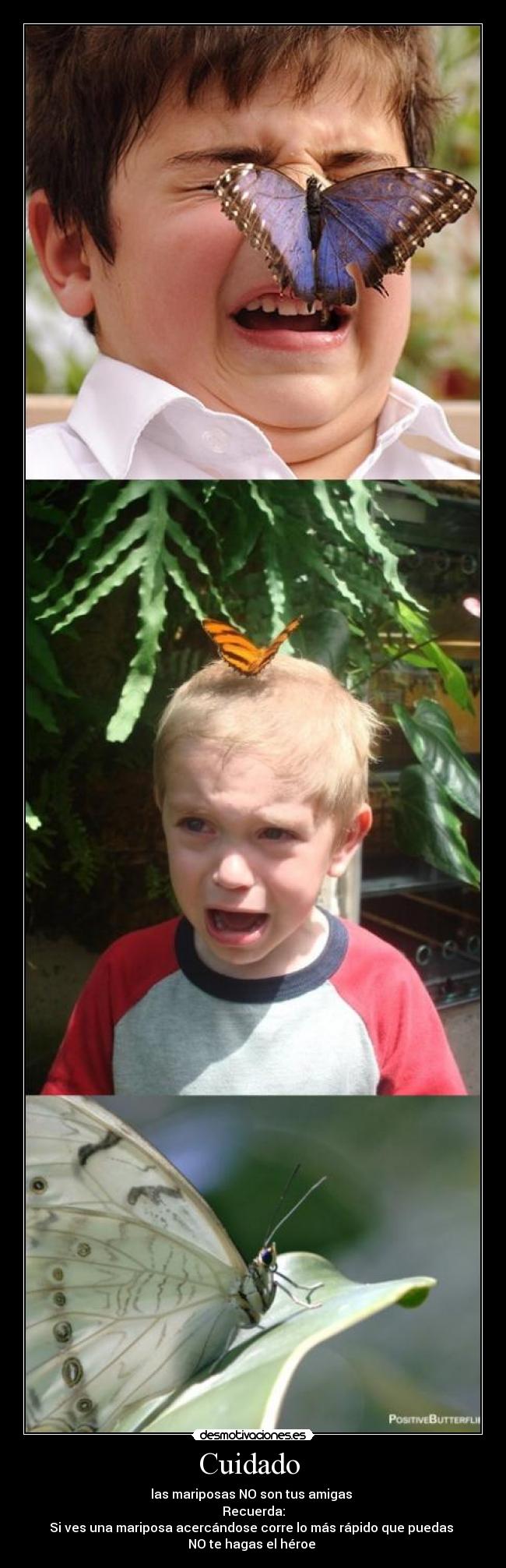 Cuidado - las mariposas NO son tus amigas
Recuerda:
Si ves una mariposa acercándose corre lo más rápido que puedas
NO te hagas el héroe