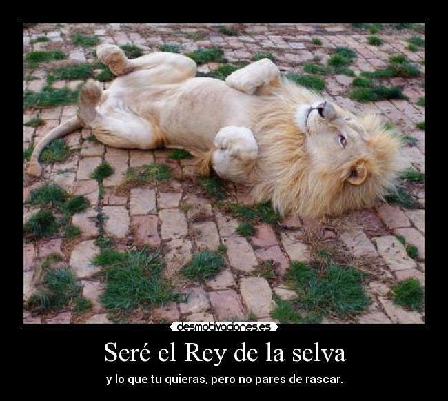 Seré el Rey de la selva -