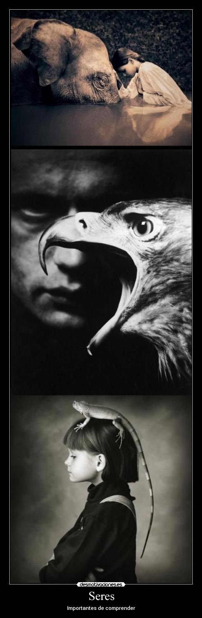 carteles seres animales ferminelfiero desmotivaciones