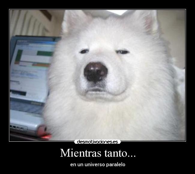 Mientras tanto... - en un universo paralelo