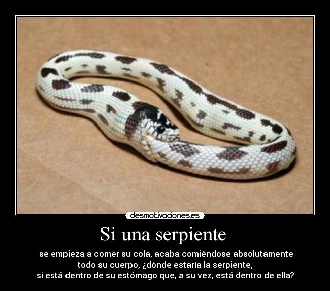 carteles una serpiente desmotivaciones