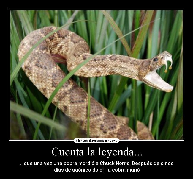 Cuenta la leyenda... -