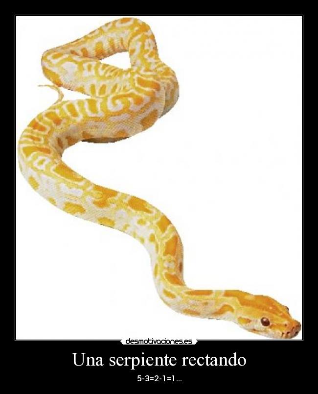 Una serpiente rectando - 5-3=2-1=1...