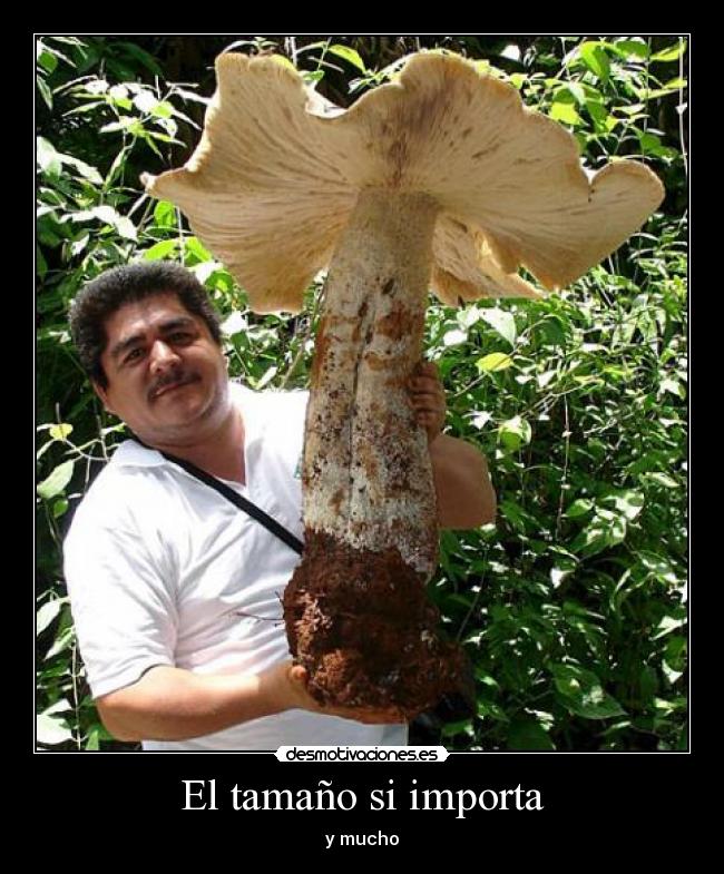 El tamaño si importa - y mucho
