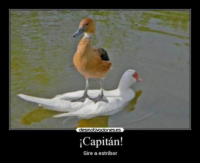 ¡Capitán! -