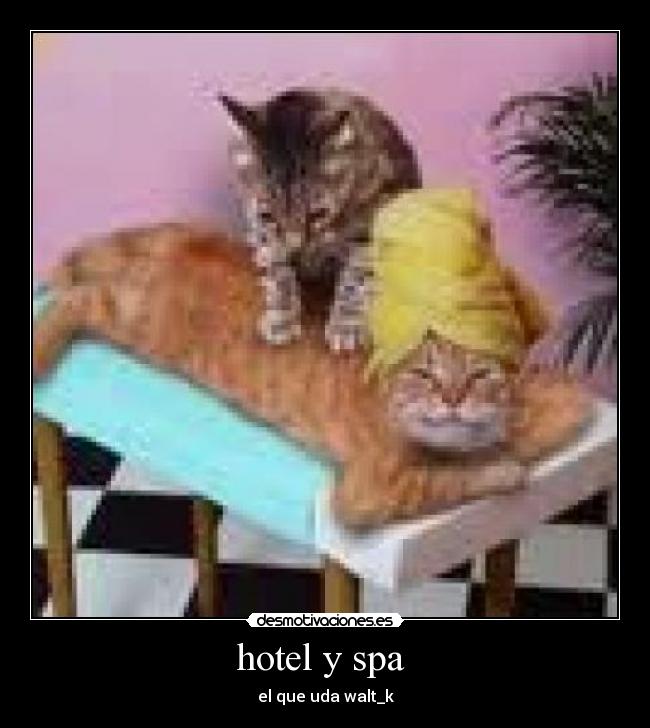 hotel y spa -