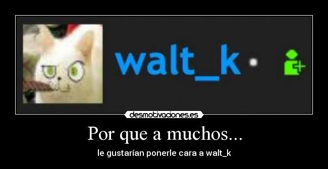 Por que a muchos... - le gustarían ponerle cara a walt_k