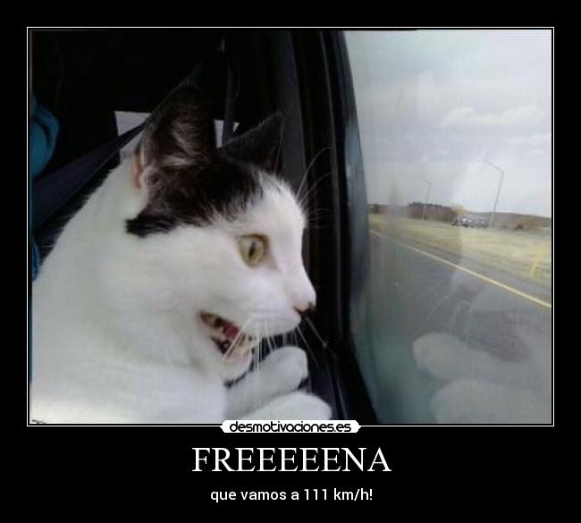 FREEEEENA - 