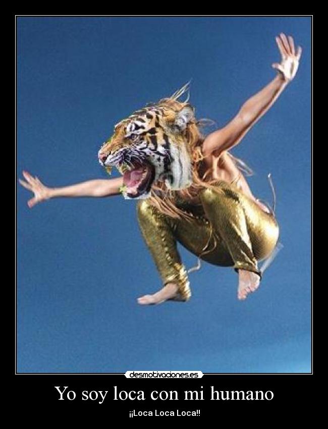 carteles loca desmotivaciones