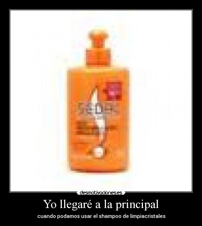 Yo llegaré a la principal - cuando podamos usar el shampoo de limpiacristales
