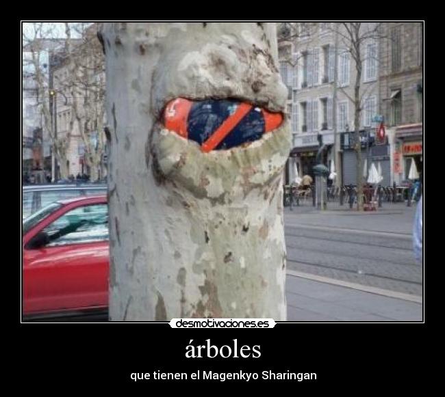 árboles - que tienen el Magenkyo Sharingan