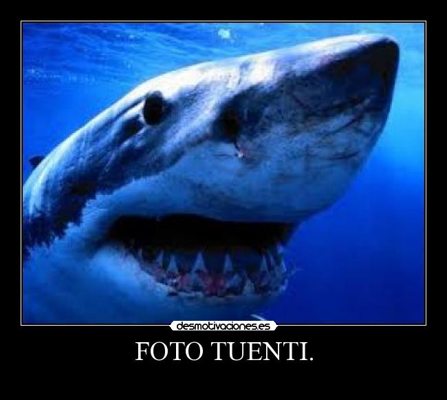FOTO TUENTI. -