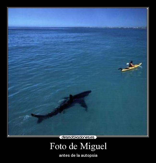 Foto de Miguel - antes de la autopsia