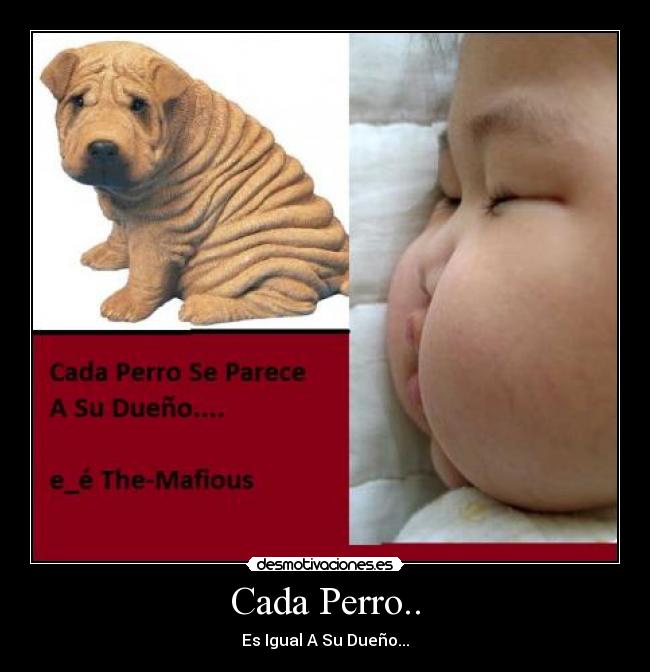 Cada Perro.. - Es Igual A Su Dueño...