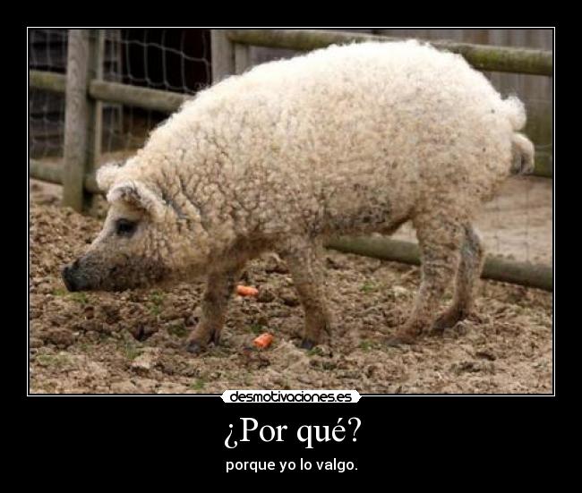 ¿Por qué? - porque yo lo valgo.