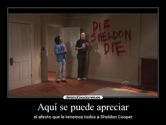 Aquí se puede apreciar - el afecto que le tenemos todos a Sheldon Cooper