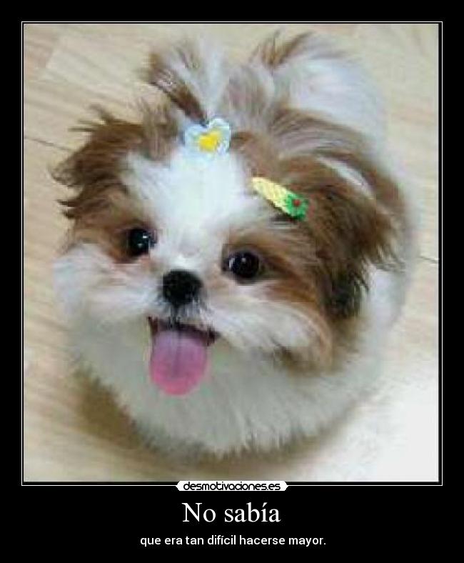 No sabía - que era tan difícil hacerse mayor.