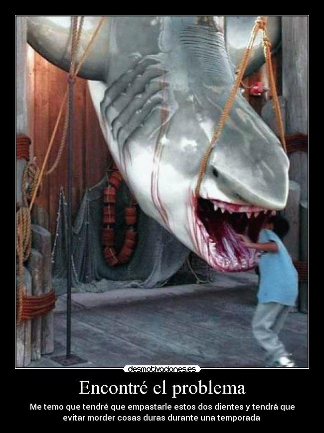 Encontré el problema - Me temo que tendré que empastarle estos dos dientes y tendrá que
evitar morder cosas duras durante una temporada