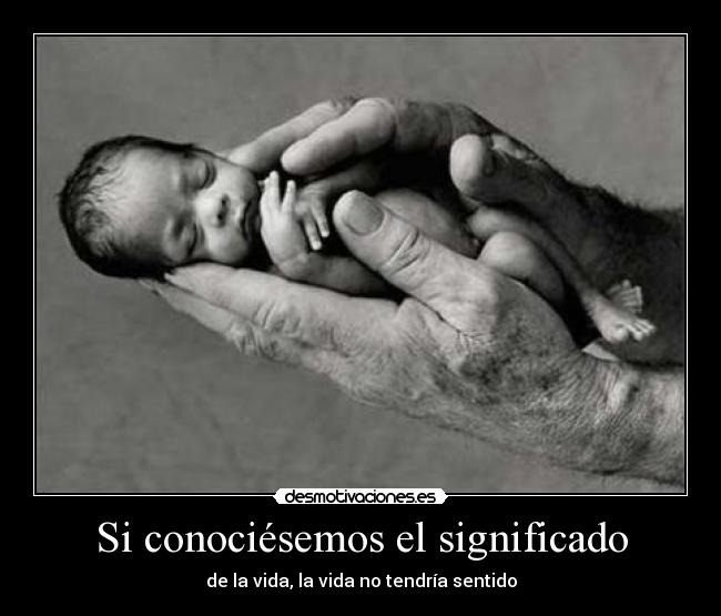 Si conociésemos el significado - 
