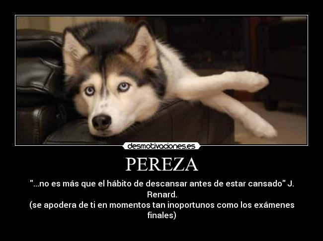 PEREZA - 