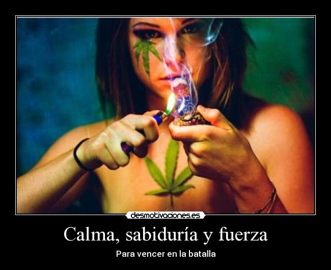 Calma, sabiduría y fuerza -