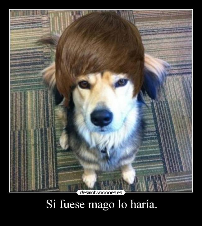 Si fuese mago lo haría. - 