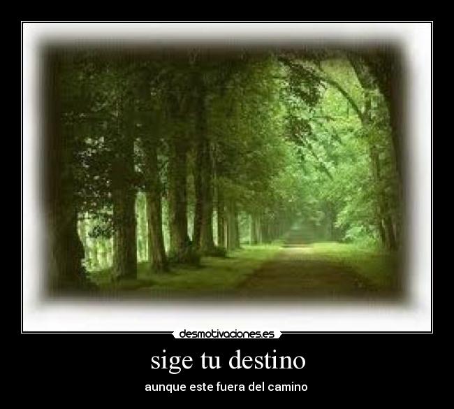 sige tu destino -