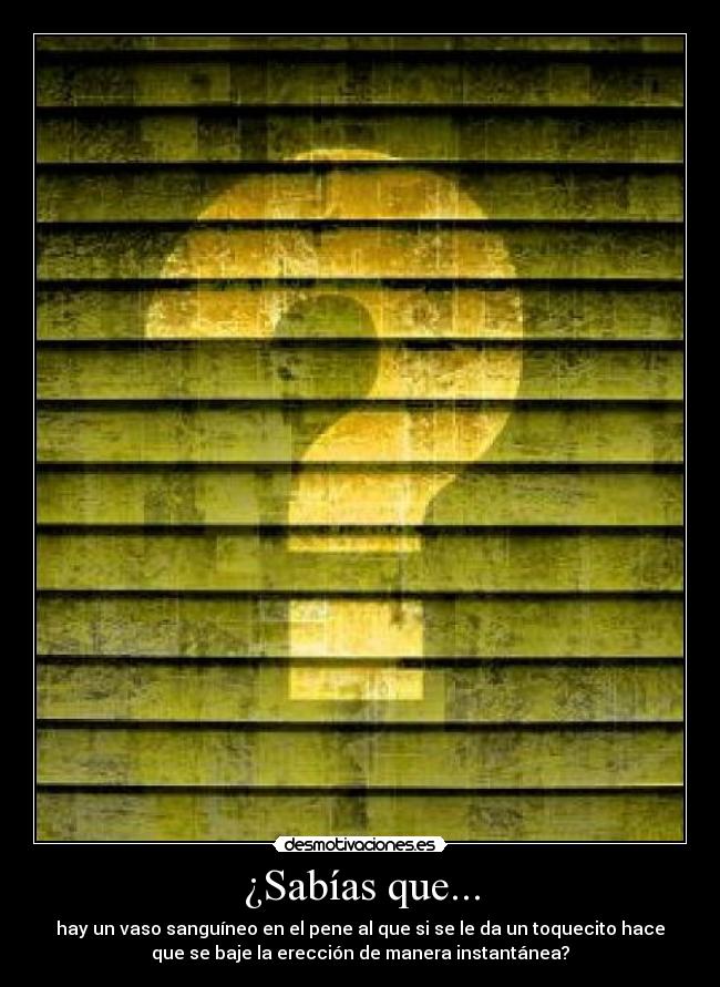 ¿Sabías que... - hay un vaso sanguíneo en el pene al que si se le da un toquecito hace
que se baje la erección de manera instantánea?