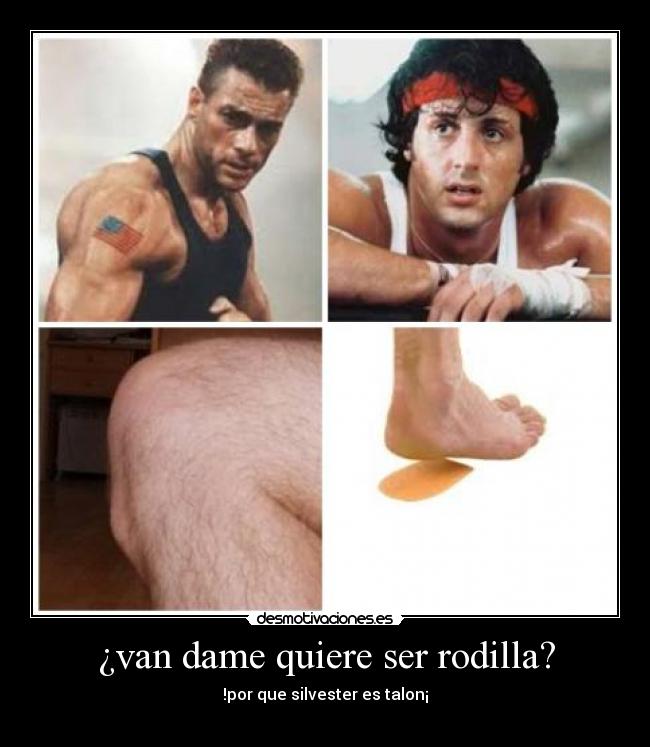 ¿van dame quiere ser rodilla? - 