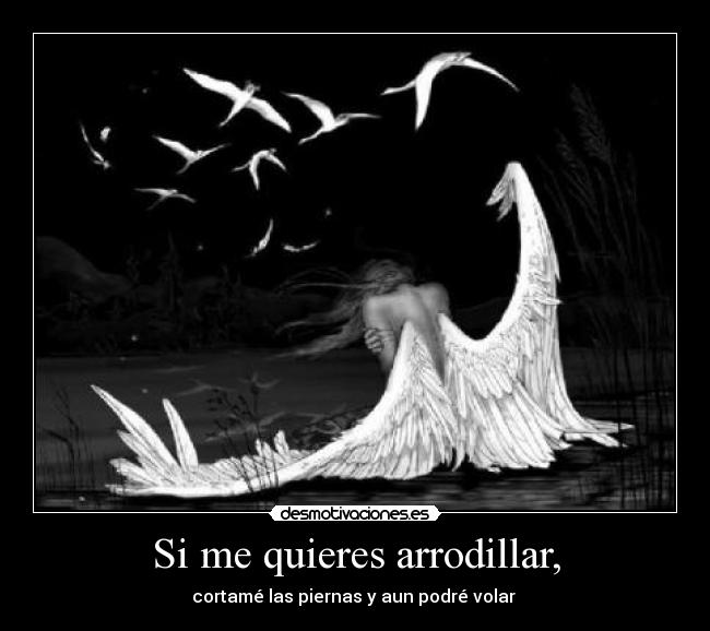 Si me quieres arrodillar, - cortamé las piernas y aun podré volar