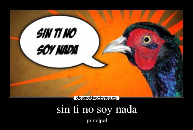 sin ti no soy nada -
