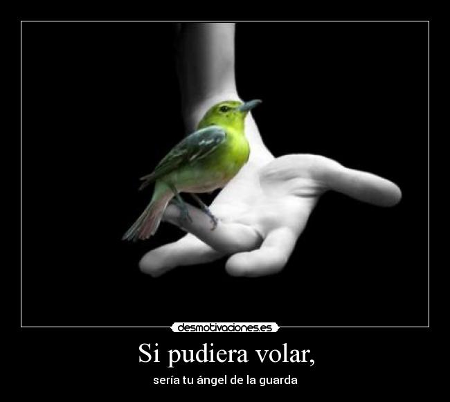 Si pudiera volar, -