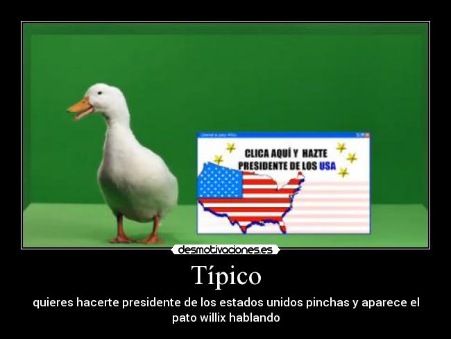 Típico - 