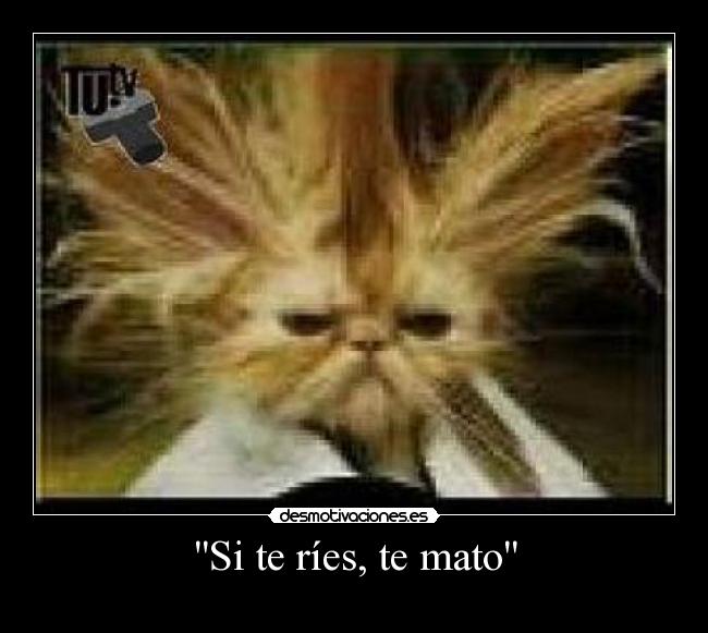 Si te ríes, te mato - 