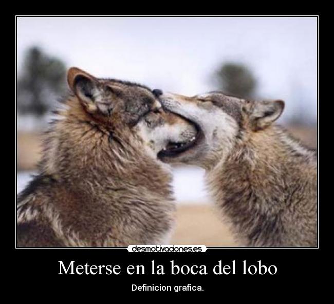 Meterse en la boca del lobo -